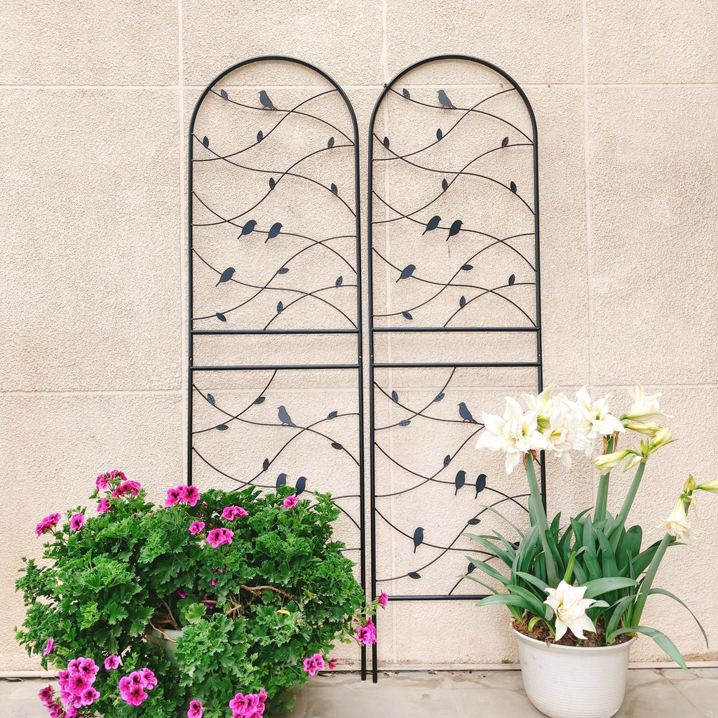 4 Pack Metal Garden Trellis 71" x 19.7" Rustproof Trellis for Climbing Plants Outdoor Flower Support Bird Deco Black